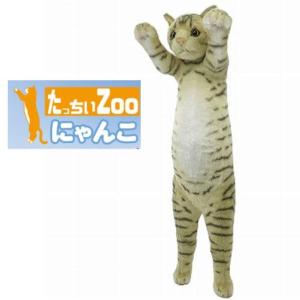たっちぃZoo にゃんこ 三毛猫 たっちぃZOO ニャンコ みけねこ 株式会社