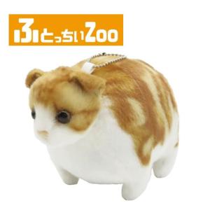 ぬいぐるみ】ふとっちぃZooにゃんこ アメリカンショートヘア /アメショ