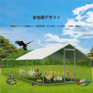 鶏小屋 屋外大型で堅牢構造 庭用農場用耐候性ピークル防雨防風?紫外線防止で高耐久、広い空間の鶏舎を安全に保つ設置場所と掃除しやすさの工夫