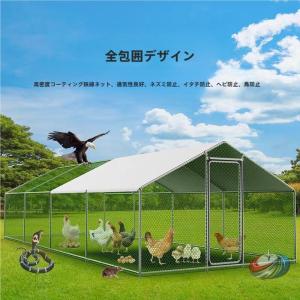 鶏小屋 屋外 大型 鶏舎 広い空間 耐候性 ピークル 防雨防風＆紫外線防止を意識 庭用農場用に高耐久 鶏ペンの設置場所と掃除しやすい動線提案
