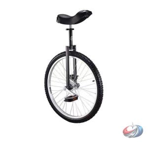 一輪車 組み立て式 競技用 大人用 子供用 学生用 ピークル バランス練習 乗用スポーツ トレーニング 入門にも 発表会 練習用に挑戦しやすい