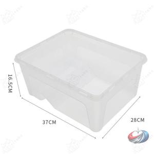 亀の楽園 亀水槽 オープン水槽 タートルタンク...の詳細画像2