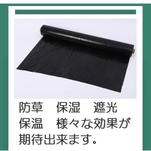 マルチ マルチシート 黒マルチ 防草 薄手 1...の詳細画像1