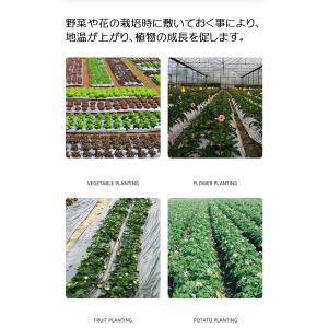 マルチ マルチシート 黒マルチ 防草 薄手 1...の詳細画像2