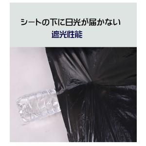マルチ マルチシート 黒マルチ 防草 薄手 1...の詳細画像4
