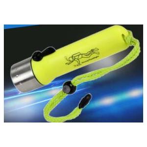 完全防水 トィンクライト 水中 ライト ダイビング 20m ハンズフリー バンド 海 180lm マリンスポーツ レジャー 海水浴 dar-sjq102-t20