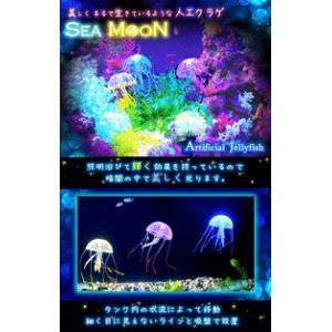 海月 究極の 癒しを あなたへ 吸盤でくっつく  アクアリウム