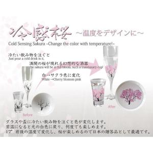 【ランキング1位】冷感桜白平盃ペアセット温度で...の詳細画像1