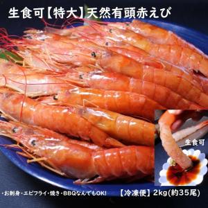 特大天然赤エビ ２kg（約３５尾） 赤えび 赤エビ