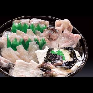 活け〆とらふぐ ８００ｇ（3〜4人前）【送料無料】  ふぐ刺し ふぐちり ふぐ鍋 ふぐ フグ 河豚 てっさ てっちり