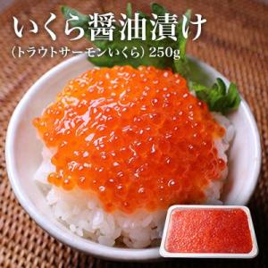 いくら 北欧サーモン 醤油漬け 250g 小粒
