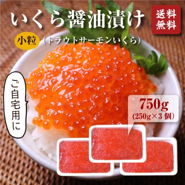 いくら（北欧サーモン）小粒 醤油漬け250ｇ ×3個(750g)【送料無料】