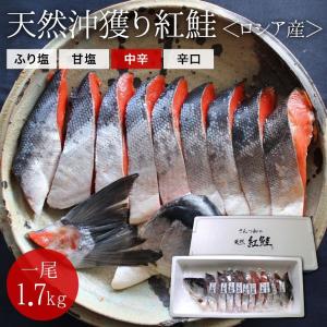 沖獲り紅鮭　一尾（約1.7kg）  鮭 サケ さけ サーモン ...