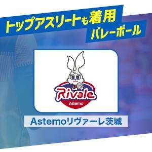 足首サポーター 固定 内反抑制 スポーツ用 足...の詳細画像1