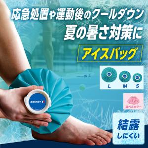 氷のう 氷嚢 アイシング 冷却 患部 熱中症対...の詳細画像1