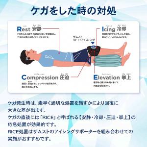 氷のう 氷嚢 アイシング 冷却 患部 熱中症対...の詳細画像4