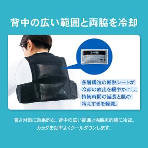 ICE VEST アイスベスト 保冷剤 4個つ...の詳細画像4