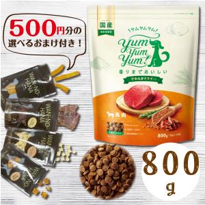 ヤムヤムヤム シニア&ライト チキン 500g×5袋 500円分のおまけ付！】 Yum Yum!（ヤムヤムヤム） シニア&ライト