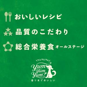 Yum Yum Yum!(ヤムヤムヤム) シニ...の詳細画像5