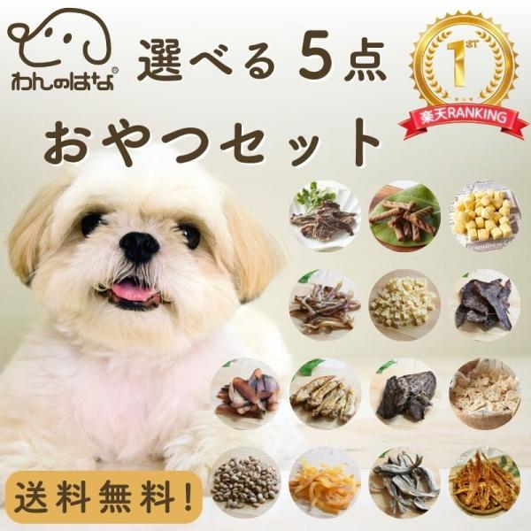 【送料無料】わんのはな 選べるおやつ 5点セット