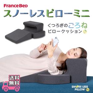 フランスベッド スノーレスピロー ミニ【送料無料】いびき対策 枕｜zanshin