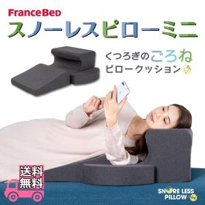 フランスベッド（FRANCEBED） らくピタ ウォッシャブル抗菌パッド
