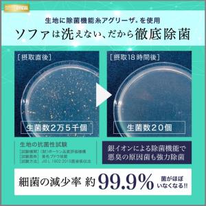 フランスベッド ソファベッド スイミーPlus...の詳細画像2