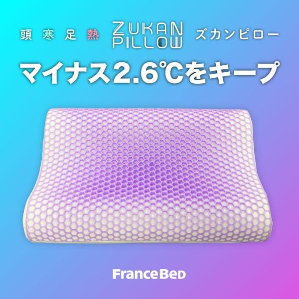 フランスベッド 新商品 ZUKANピロー 寝苦しい夜に使いたい枕 【送料無料】2.6℃低い表面温度が...