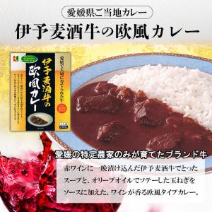 カレー レトルトカレー 詰め合わせ 200g ...の詳細画像1