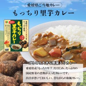 カレー レトルトカレー 詰め合わせ 200g ...の詳細画像2
