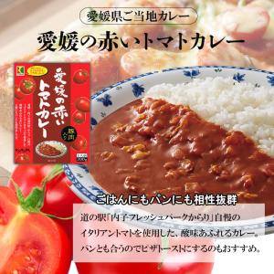 カレー レトルトカレー 詰め合わせ 200g ...の詳細画像3