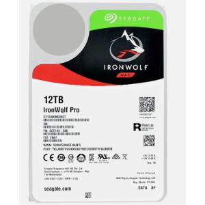 【1年保証】Seagate 12Tb ST12000NE0007 256Mb Cache 7200R...