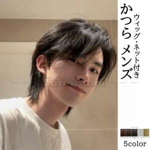 ウィッグ 男性用 かつら メンズ ウィッグ ロング