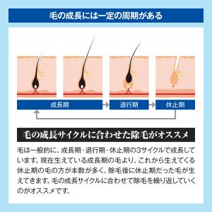 ZAS 除毛クリーム デピミルク 150ml ...の詳細画像5