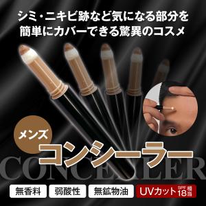 ザス チップオン コンシーラー (ダーク) 2...の詳細画像1