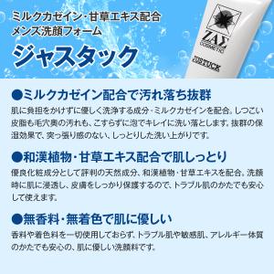 ZAS トラブル肌対策 パーフェクトにきびセッ...の詳細画像2