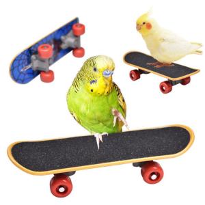 バードトイ スケートボード 1個 おもちゃ インコ オウム スケボー 芸