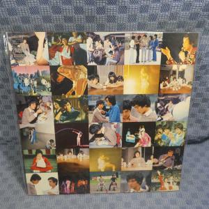VA164●SOLI-88/郷ひろみ「ひろみの部屋」LP(アナログ盤)｜zaurusys