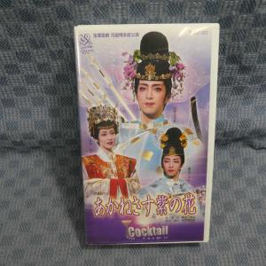 M234○行定勲/麻生久美子/河村彩/袴田吉彦「ひまわり」VHSビデオ