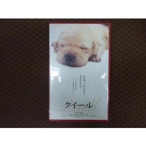 M340●崔洋一監督/小林薫/椎名桔平/香川照之 他「クイール」VHSビデオ