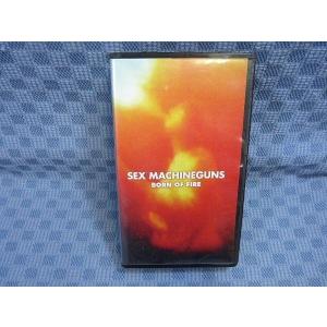 M388○ポルノグラフィティ「OPENING LAP」VHSビデオ : ざうるす - 通販