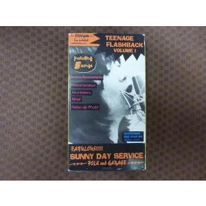 M370●サニーデイ・サービス「TEENAGE FLASHBACK VOLUME1」VHSビデオ