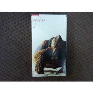 M388●ポルノグラフィティ「OPENING LAP」VHSビデオ