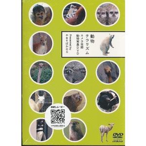 K295○Search for my roots「斎藤工 プライベートジャーニー