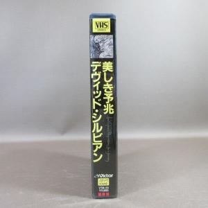 M694●VTM-55 デヴィッド・シルビアン...の詳細画像1