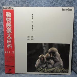 VA359●SS098-6042 動物映像大百科「VOL.3 哺乳類3」LD(レーザーディスク)