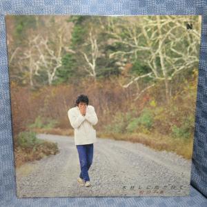 VA363●M28N0003 松山千春「木枯らしに抱かれて」LP(アナログ盤)