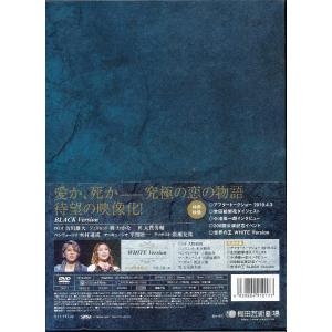 KA634●古川雄大/葵わかな/大貫勇輔/木村...の詳細画像1