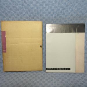 VA901●安井曽太郎 日本近代絵画全集 第8...の詳細画像1