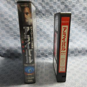 MA022●RF-1053「チャーリー・シーン...の詳細画像2
